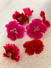 Load image into Gallery viewer, Edible Flower Punnet