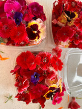 Load image into Gallery viewer, Edible Flower Punnet